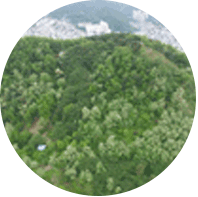 배산성지 이미지