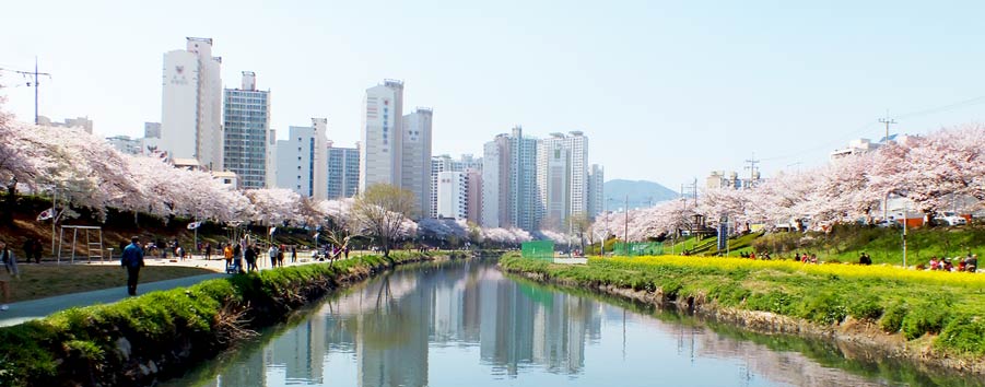 REGIONAL CHARACTERISTICS