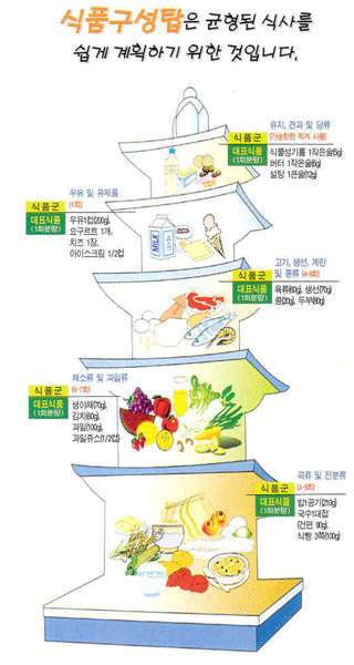 식품구성탑은규형된식사를쉽게계획하기위한것입니다.
-[1층]식품군:곡류및전분류(4~5회)/대표식품(1회분량):밥1공기(200g),국수1대접(건면90g),식빵3쪽(300g)
-[2층]식품군:채소류및과일류(6~7회)/대표식품(1회분량):생야채(70g),김치(90g),과일(100g),과일쥬스(1/2컵)
-[3층]식품군:고기,생선,계란및콩류(4~5회)대표식품(1회분량):육류(90g),생선(70g),콩(20g),두부(80g)
-[4층]식품군:우유및유제품(1회)대표식품(1회분량):우유1컵(200g),요구르트1개,치즈1장,아이스크립1/2컵
-[5층]식품군:유지,견과및당류(가능한한적게사용)대표식품(1회분량):식물성기름1작은술(5g),버터1작은술(6g),설탕1큰술(12g)