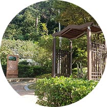 연산동 고분군 이미지