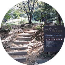 천천히 걷는 길, 배산 등산로 이미지